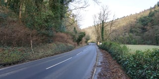 Work on the TT course to remove diseased trees