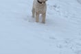 Having fun in the snow