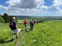 Walk Alton: walking festival preparations