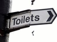 Toilet map shows fewer than two dozen accessible toilets in Waverley