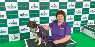 Lacey’s Crufts moment ruined by TV schedule