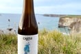 Cornish brewery brings home the gold