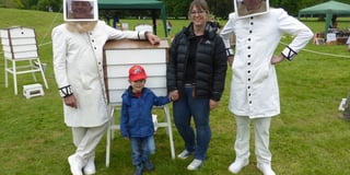 Gardening with Lynne Allbutt - relishing bee friendly practices