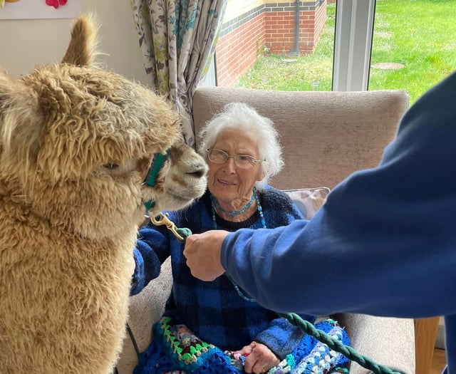 Wool-d you like some company? Alpacas visit residents at Bloomfield!