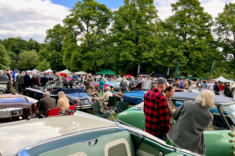 The Haslemere Classic Car Show typically attracts thousands of visitors to Lion Green