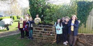 Brownies build ‘hotel’ for bugs