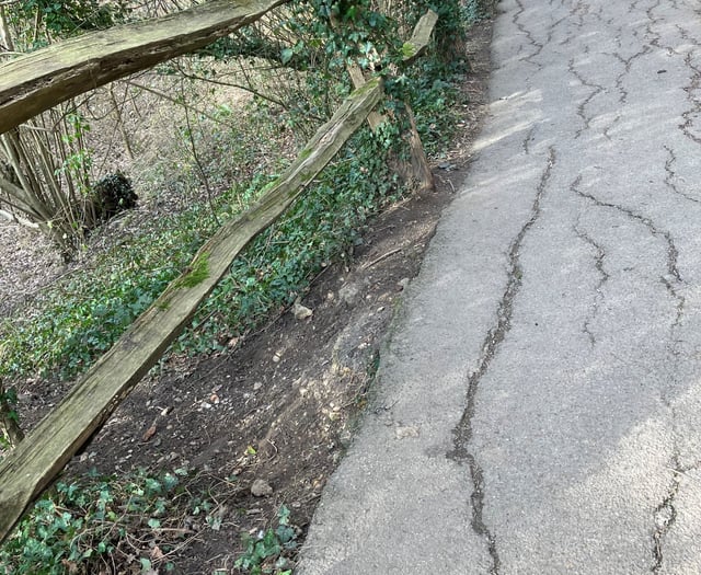 Mile-long Farnham Park footpath to be repaired and restored next month