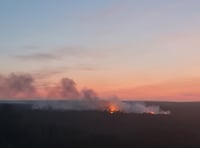 Firefighters still tackling heathland wildfire at Frensham Common