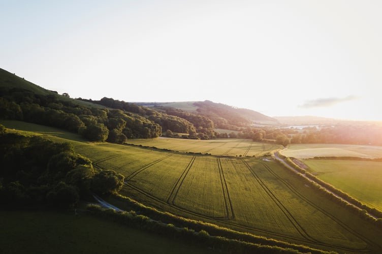 Petersfield's Great Big Green Week will kick off on June 10 with an 11-mile walk between Midhurst and Petersfield in collaboration with Petersfield Walking Festival