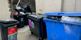 Resident dumps bin at town hall in protest