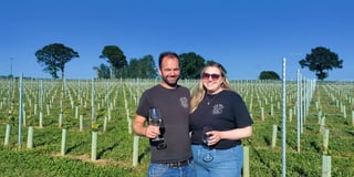 GALLERY: vineyard based in Raglan celebrates Welsh Wine Week 