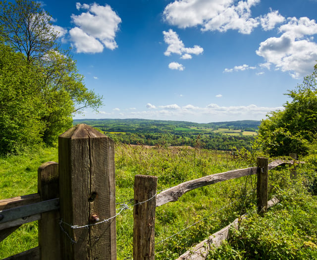 Jeremy Hunt: Join my campaign to make the Surrey Hills a national park