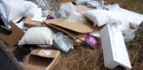 Director fined after employees fly-tipped in West Worldham