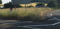 Chawton A31 roundabout grass finally cut by Hampshire County Council