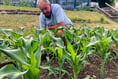 Gardening club celebrate birthday crop