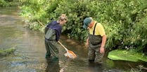 Don’t stand back – help River Wey Trust clean up our local rivers