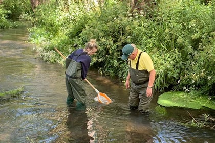 Don’t stand back – help River Wey Trust clean up our local rivers