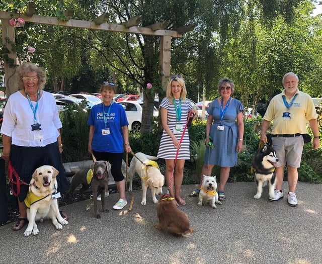 Pets as Therapy dogs win national top spot for their volunteering