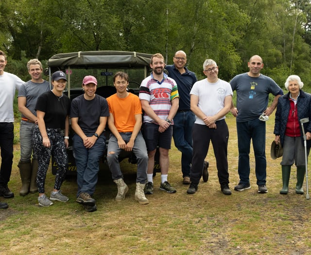 Volunteers help protect Lynchmere common from invasive bracken