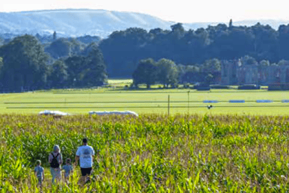 Have an amazing time in the Cowdray maize maze