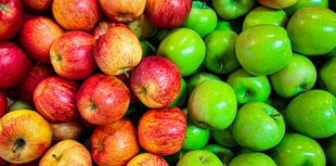 It's Apple Day at St Mark's in Hale this Sunday – and all are invited!