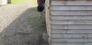 Meon Valley stable owner pays hefty price for ignoring planners