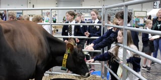 Children have been getting 'Farmwise' in Devon for 10 years
