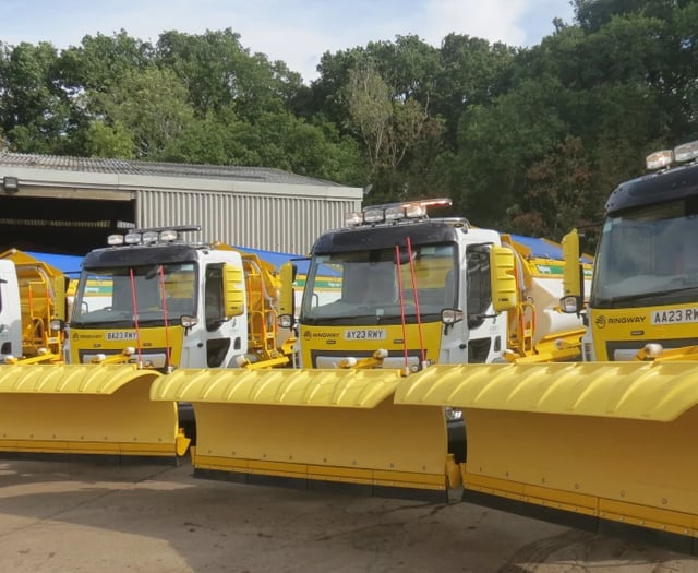 Snow joke: Surrey's new gritters need cool names – with a frosty twist