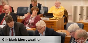 Waverley Lib Dems hit back after Tory council divorce motions defeated