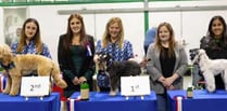 Petersfield dog groomers Bentley’s wins big at competition