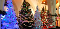 Christmas tree festival will turn Alton church into winter wonderland