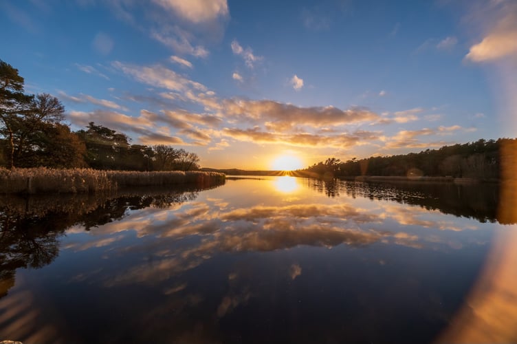 Frensham Little Pond