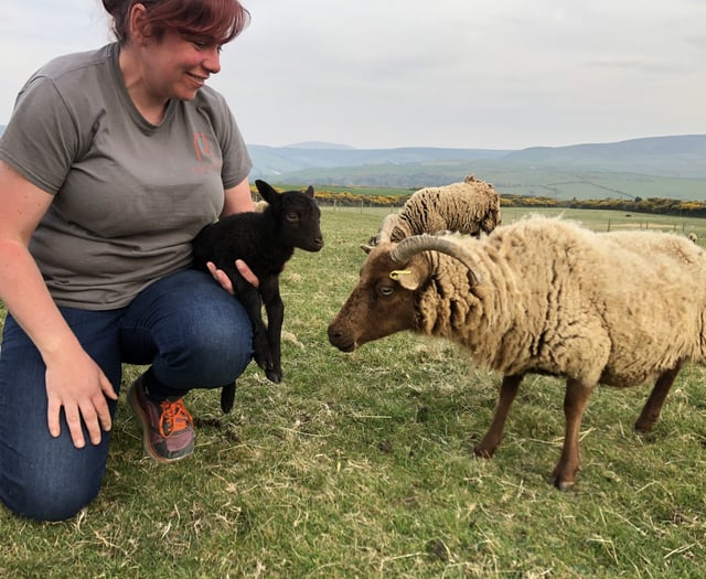 Why we think it’s so important to educate people about farming in the Isle of Man