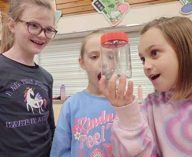 Primary School’s STEM week goes down a storm!