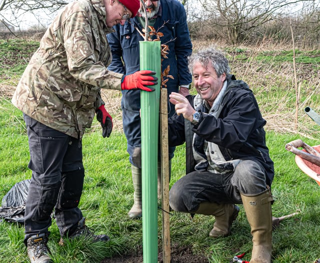 Faulkland  Wilding Project well underway