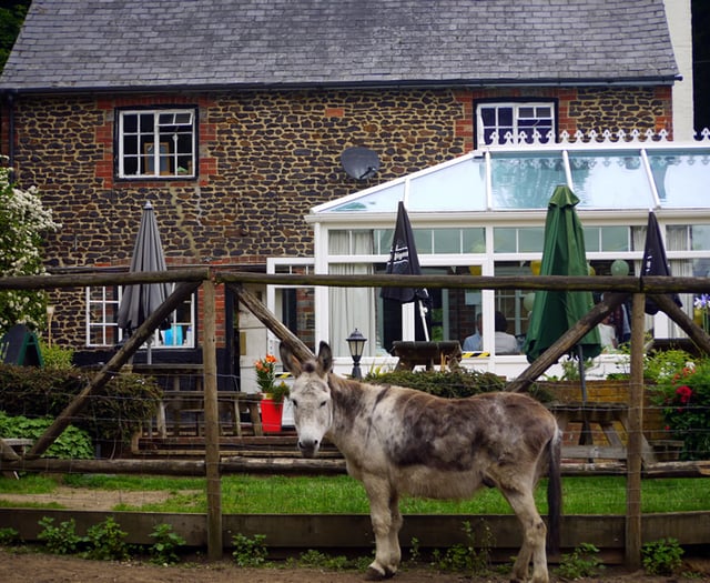 Last eeyorders: The Donkey pub in Elstead announces permanent closure