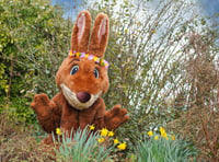 Easter Bunny is giving a seasonal feel to Marwell Zoo