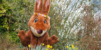 Easter Bunny is giving a seasonal feel to Marwell Zoo