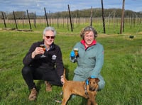 Hogs Back Brewery recognised as one of UK's most sustainable brewers