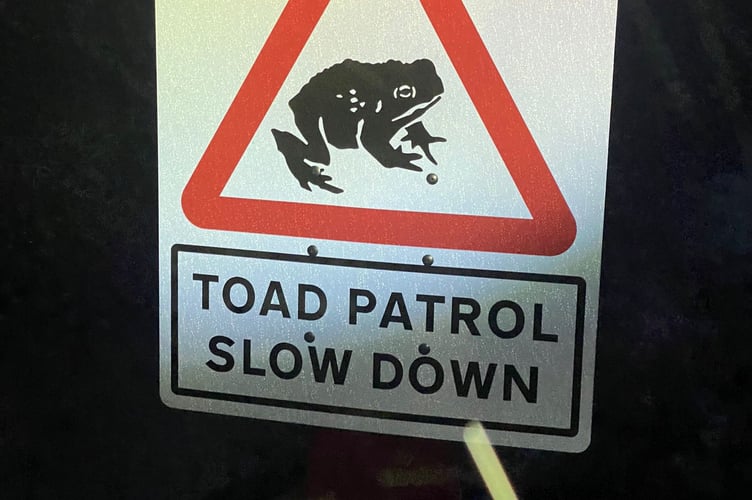 TOAD PATROL SIGN