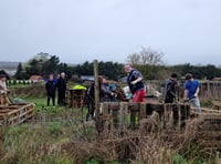 Enthusiastic young helpers brighten the day at Farnham Community Farm