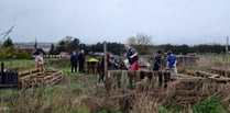 Enthusiastic young helpers brighten the day at Farnham Community Farm