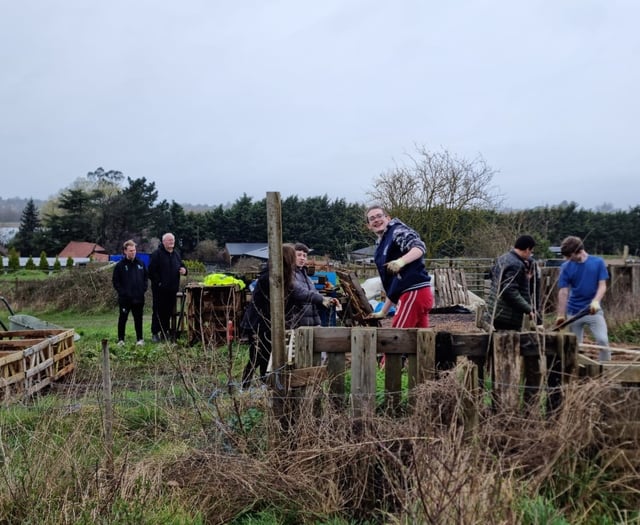 Enthusiastic young helpers brighten the day at Farnham Community Farm