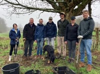 College helps fund hedgerow in Farnham Park to mark 50th anniversary