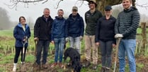 College helps fund hedgerow in Farnham Park to mark 50th anniversary