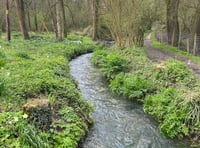 Children sick from swimming in river