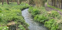 River Wey community water monitoring lab launched after sewage spills