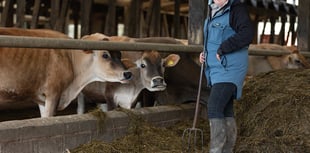 New tenant farmer arrives at Countryside Regeneration Trust farm