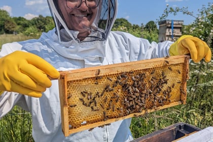 New Hive Helpers clubs and courses launched for bee lovers of all ages