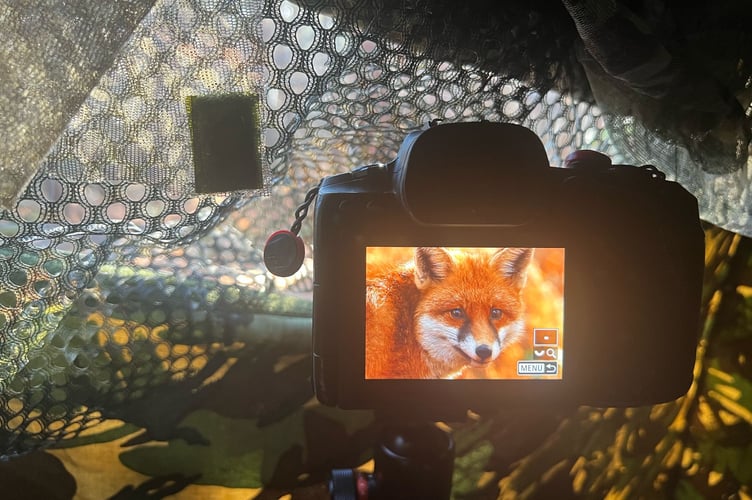 Robert's hide and camera set up waiting for foxes to come by.